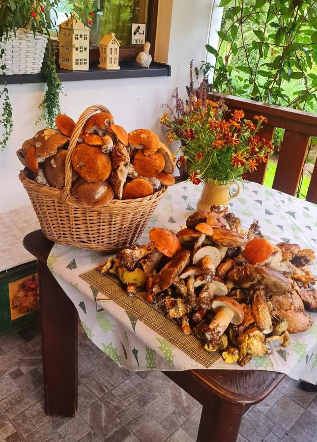 Prázdninový dům Chaloupka U Matusku Varnsdorf
