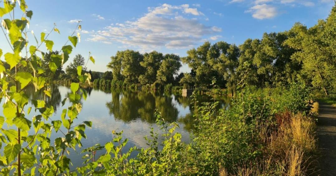 Chaloupka U Matusku * Varnsdorf