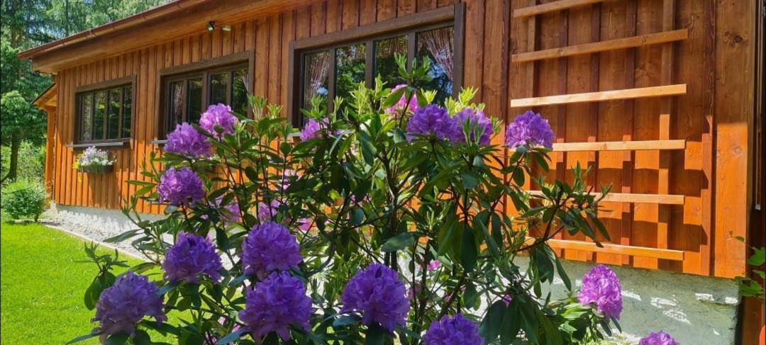 Holiday home Chaloupka U Matusku Varnsdorf