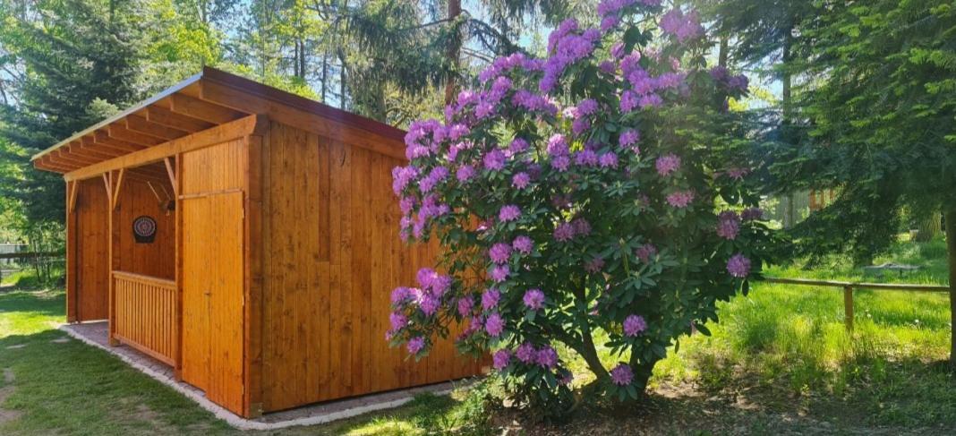 Chaloupka U Matusku * Varnsdorf