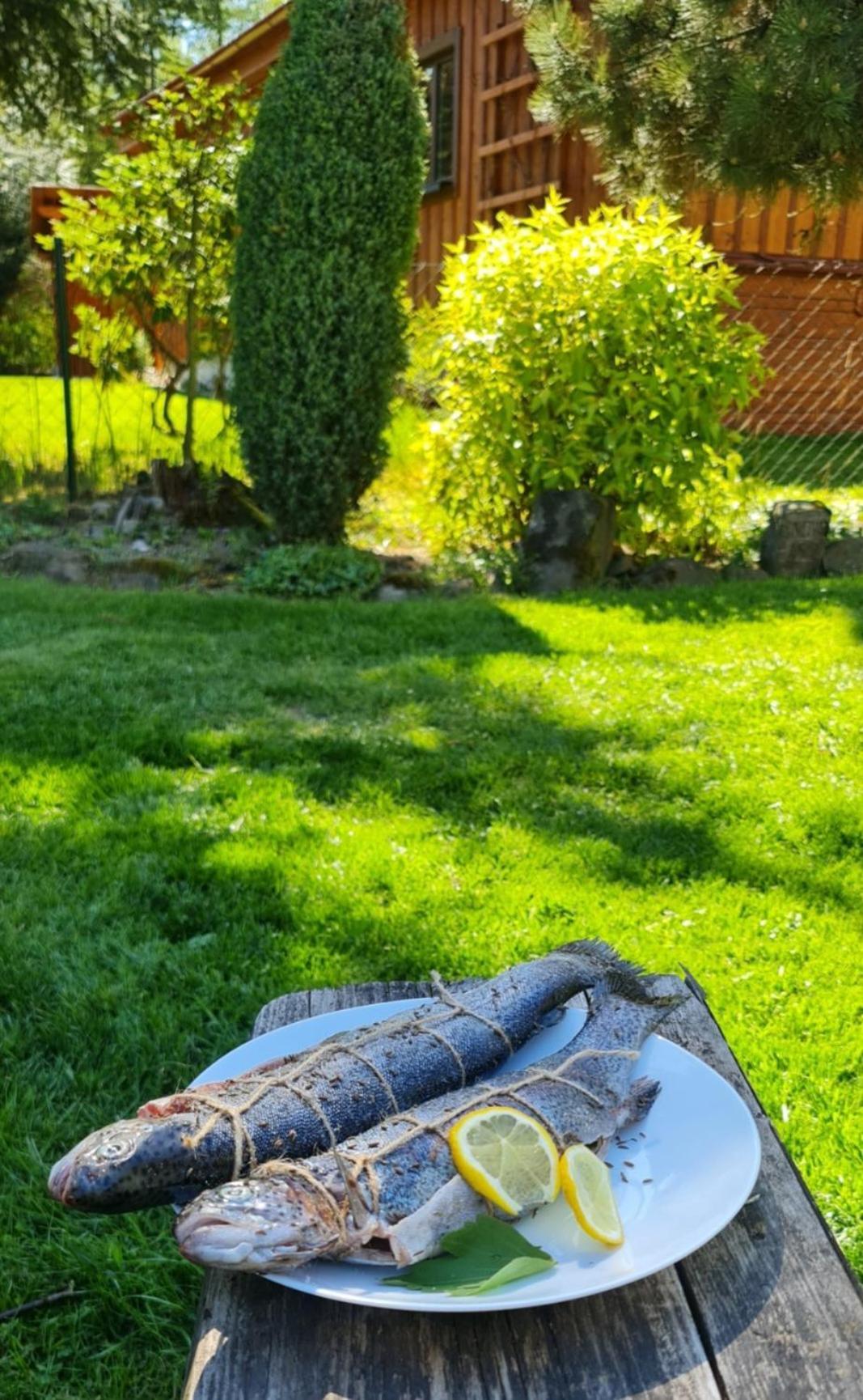 Prázdninový dům Chaloupka U Matusku *